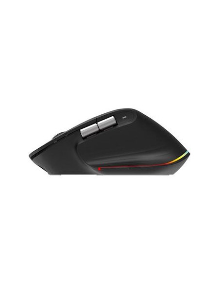 Acer Easy Fit wireless Mouse |2.4GHz and BT5.0 | Black | Acer