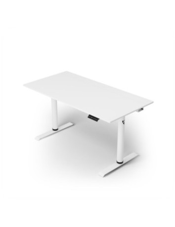 Acer priedai