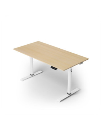 Acer priedai