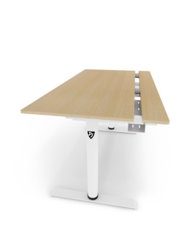 Arozzi Electric Standing Desk | Arena Nordico | Birch