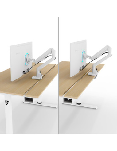 Arozzi Electric Standing Desk | Arena Nordico | Birch