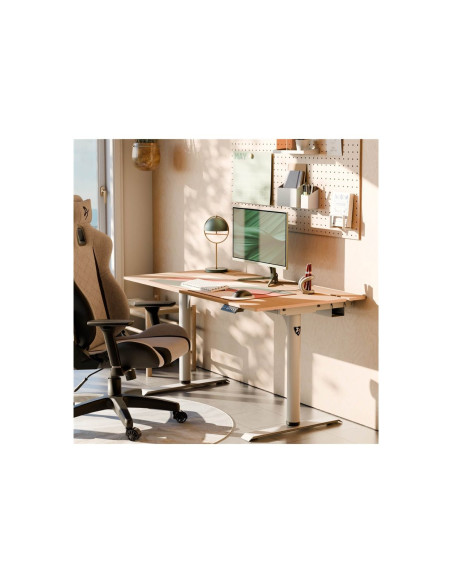 Arozzi Electric Standing Desk | Arena Nordico | Birch