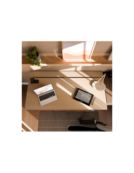 Arozzi Electric Standing Desk | Arena Nordico | Birch