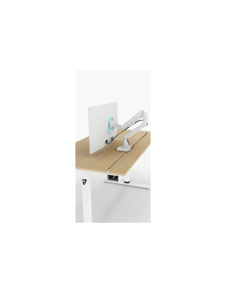 Arozzi Electric Standing Desk | Arena Nordico | Birch