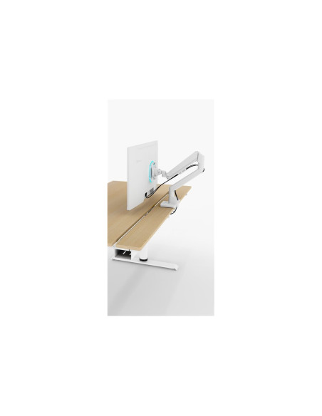 Arozzi Electric Standing Desk | Arena Nordico | Birch