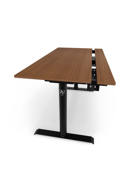 Arozzi Electric Standing Desk | Arena Nordico | Walnut