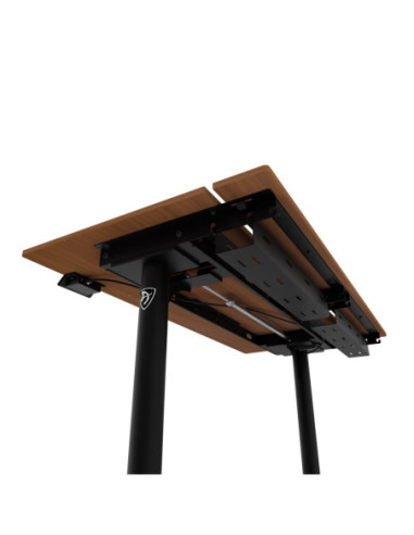 Arozzi Electric Standing Desk | Arena Nordico | Walnut