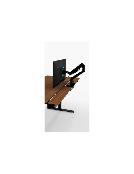 Arozzi Electric Standing Desk | Arena Nordico | Walnut