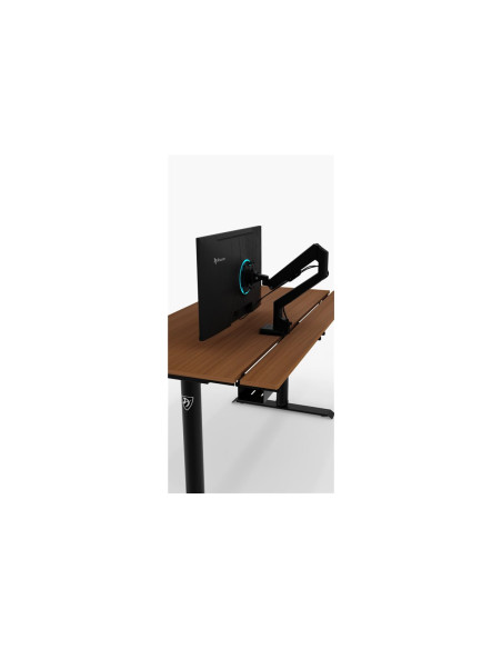 Arozzi Electric Standing Desk | Arena Nordico | Walnut
